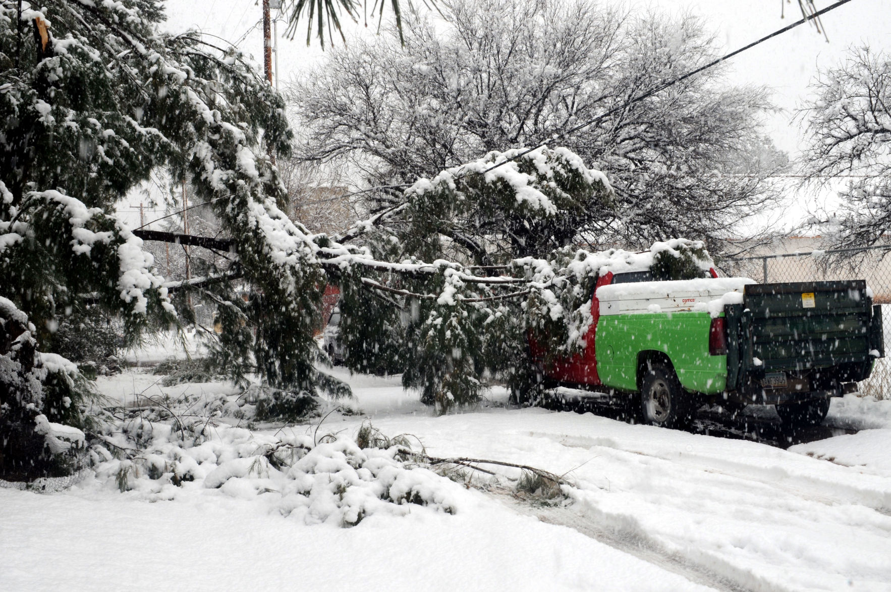 Snow in Santa Cruz County